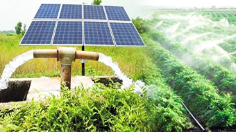 پنل خورشیدی مناسب باغ و کشاورزی | بهین نیرو